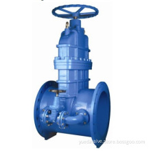 Resilient Seated Gate Valve with by-pass